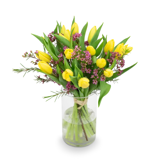 Bouquet of yellow tulips